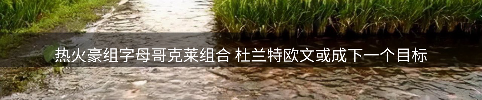 内页banner